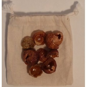 Nozes de Saponária 1quilo + saquinho de algodão